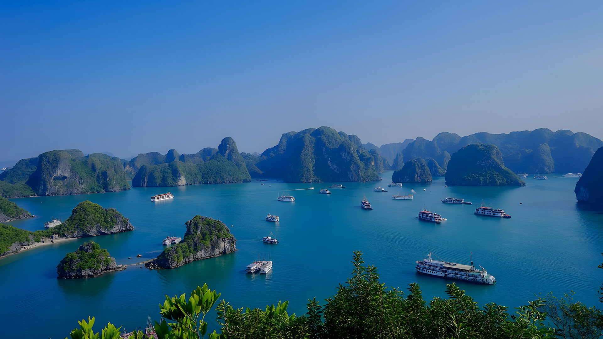 Discover the Best Things to Do in Halong Bay: Your Ultimate Guide